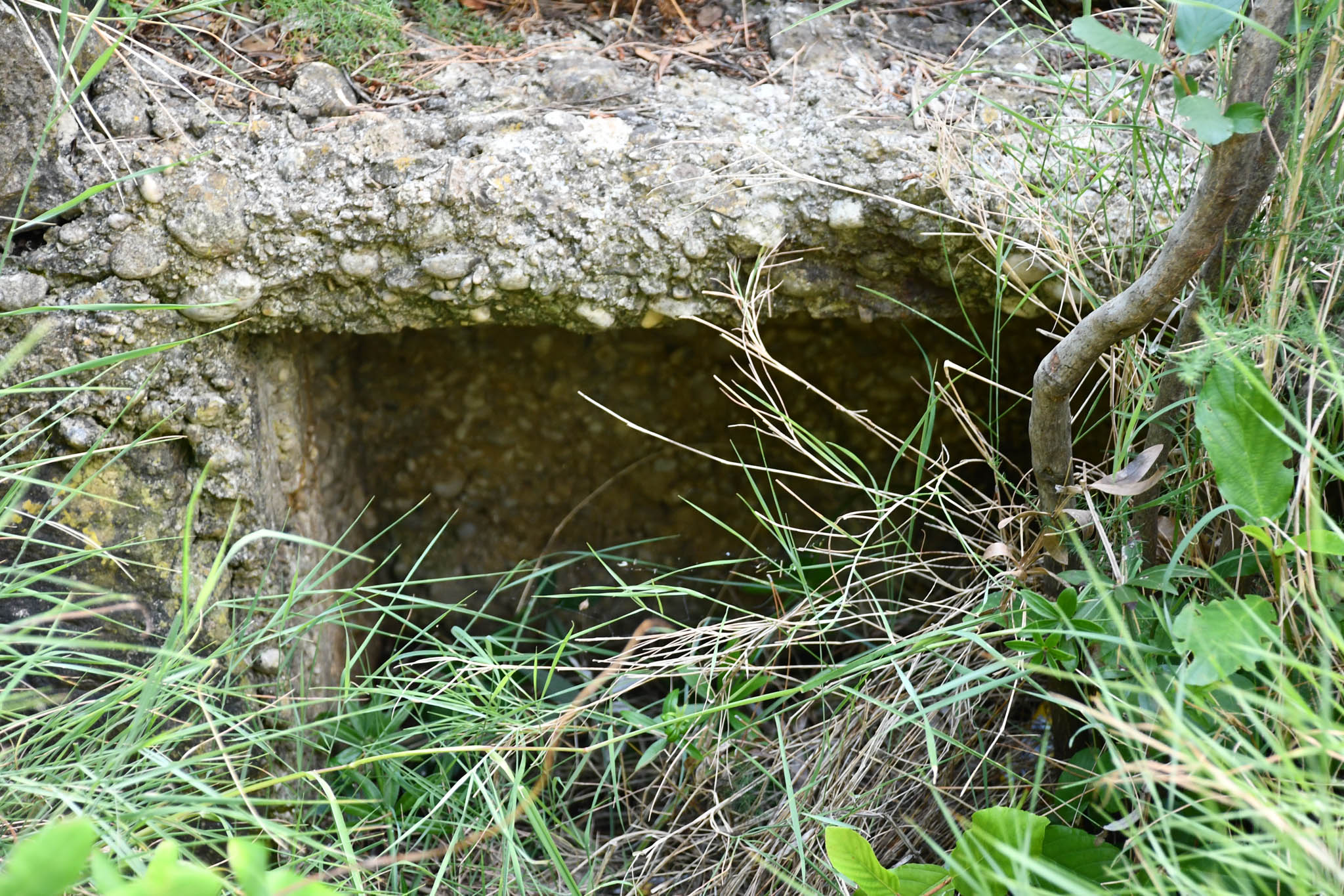 Small box in the wall surrounding a gun emplacement